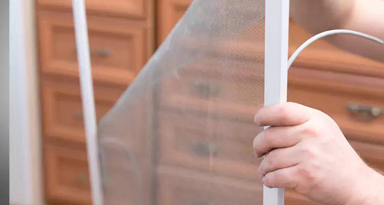 Privacy Mesh Screen Door Installation in Cape Coral, FL