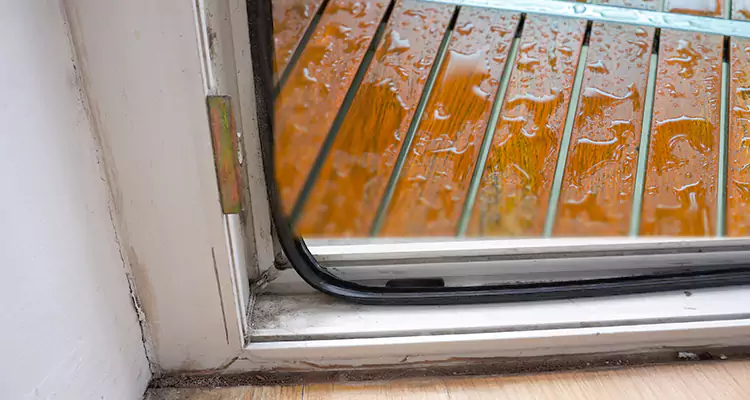 Water Leaking Wooden Patio Doors Repair in Cape Coral, FL